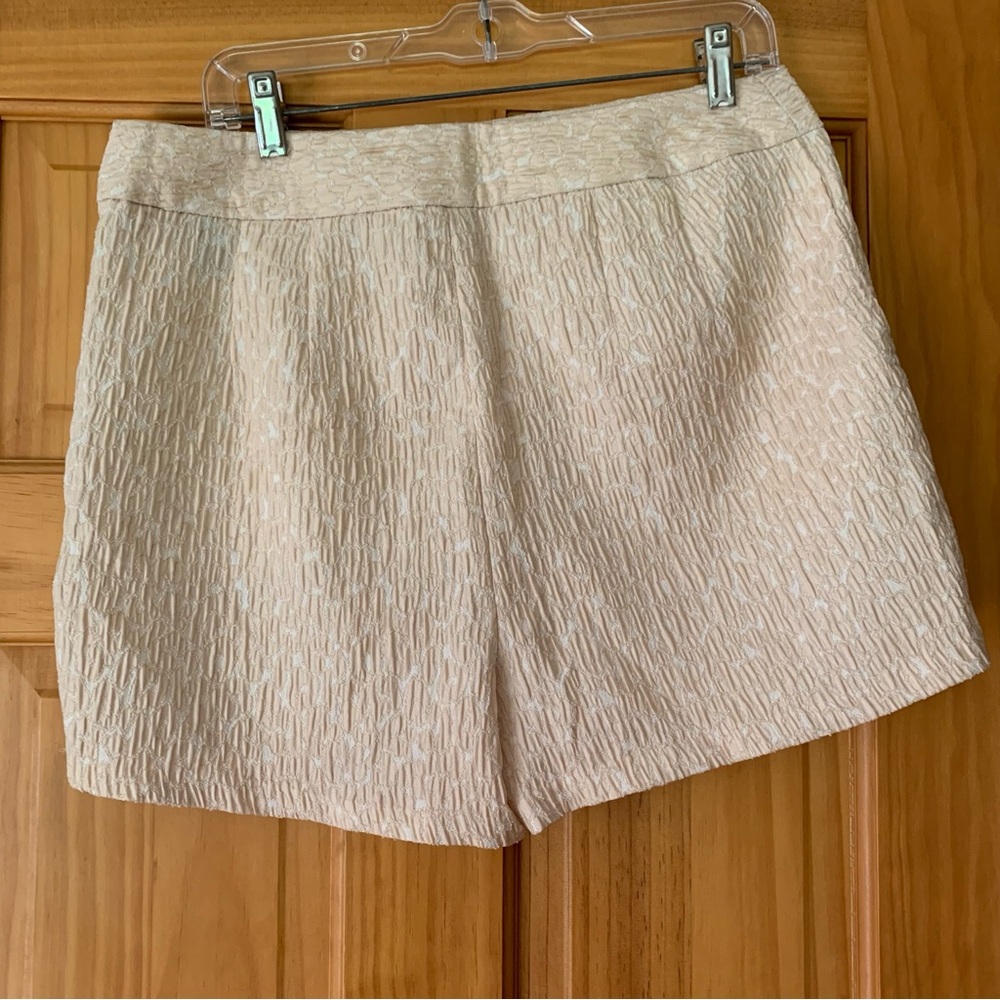 Express peach Shorts - Picture 2 of 8